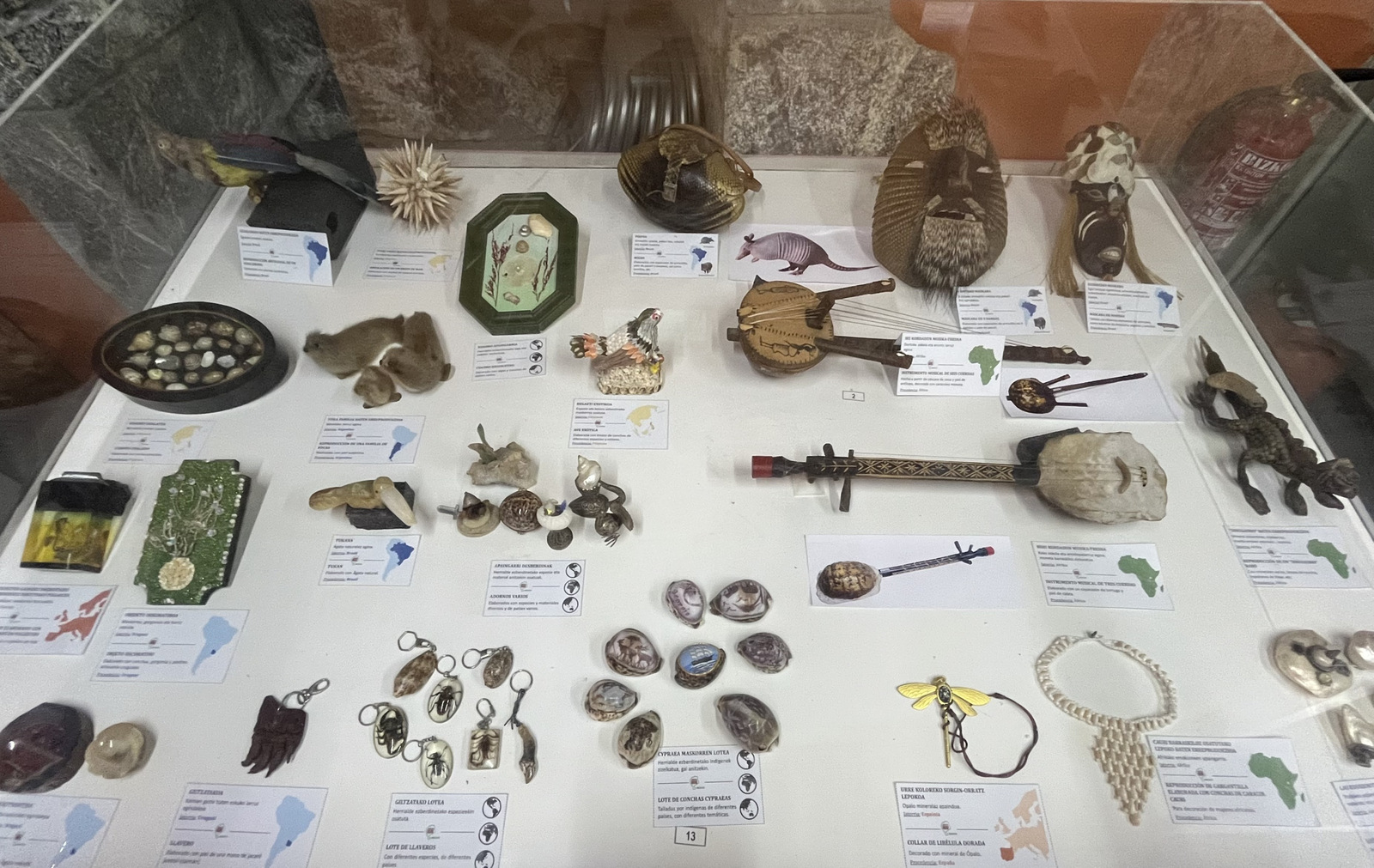 Bizkaiko Natur Zientzien Museoren erakusketa.