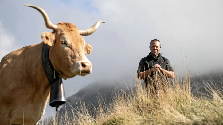 Piriniotar behia eta behizaina, Harpeako gainetan.