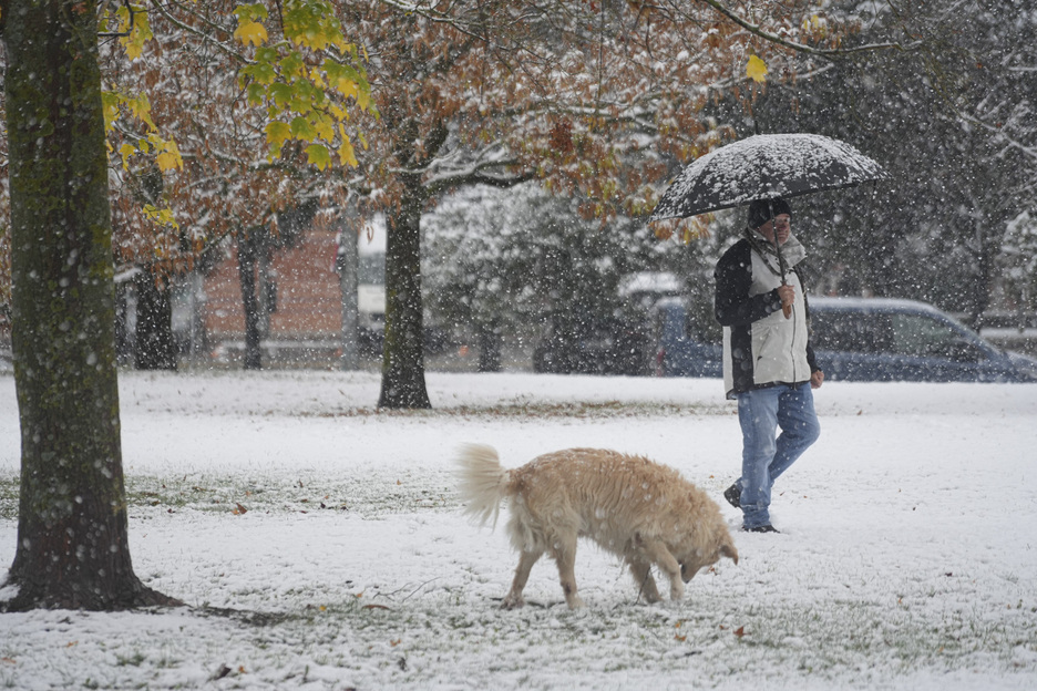 Los parques de la capital navarra han amanecido blancos.
