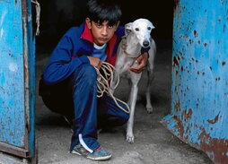 gara-2025-11-21-Noticia