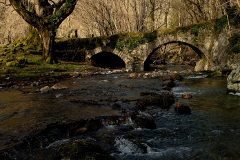 Pago sendo bat juxtuan eusten dion zubi baten parean, Artikutzan