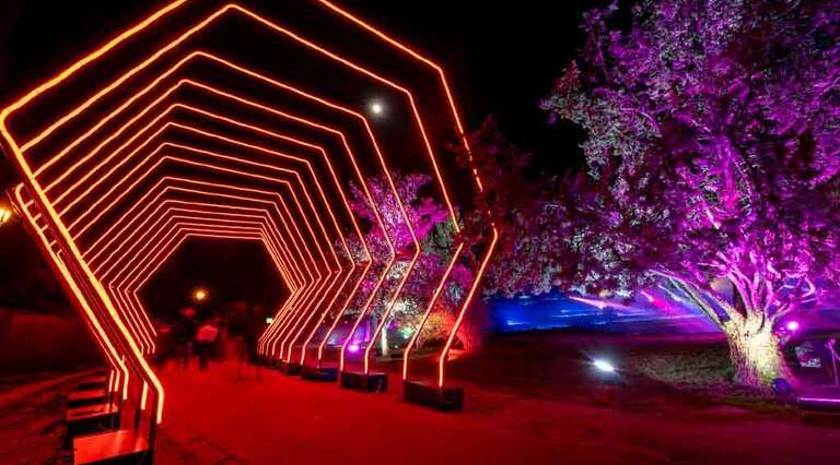 ‘Miramar magikoa’ ikuskizunaren irudia. 