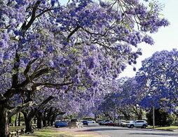 gara-2025-11-26-Noticia