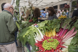 Baserritarrak, protagonista igandena. 