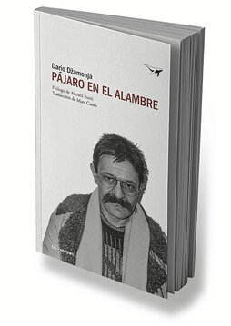 gara-2025-12-01-Noticia