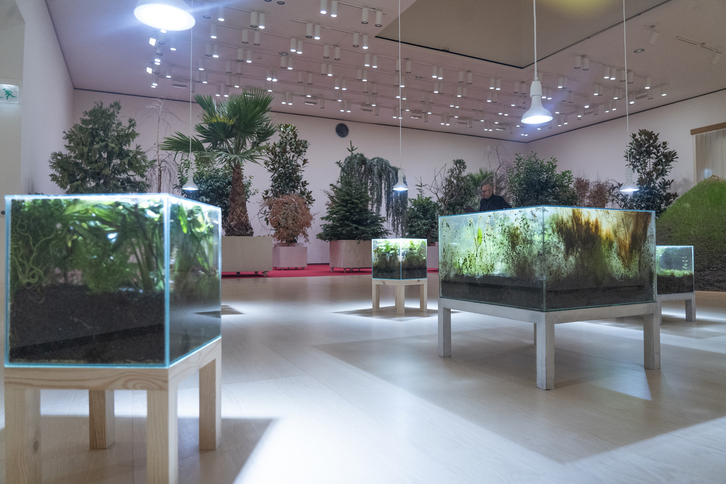 ‘Granos del Paraíso’, (Grains of Paradise), obra de Sumayya Valley.