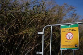Vallas para cortar el paso en las zonas restringidas por la cuarentena ante la peste porcina africana.