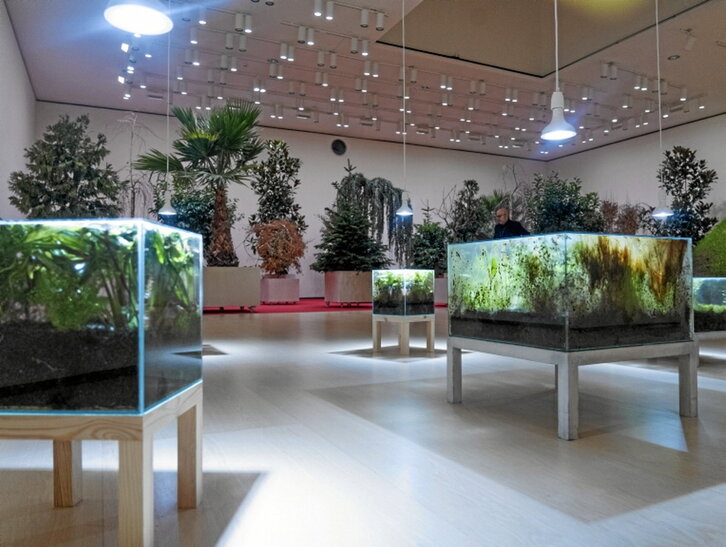 Imagen de una de las salas.