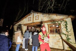 Baso magikoa zabalik dago dagoeneko. 