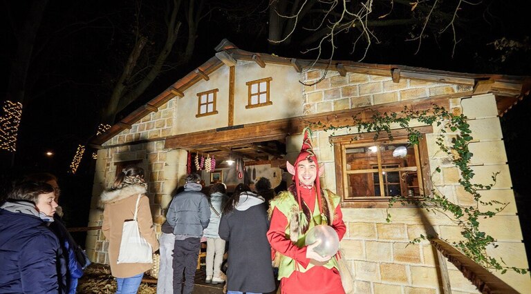 Baso magikoa zabalik dago dagoeneko. 