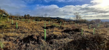 Lndaketa berriak Garaio parkean, Ondoriz aldean.