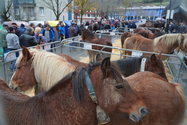 Aurten ere zaldiak izango dira Urretxu-Zumarragako Santa Lutzi azokan.