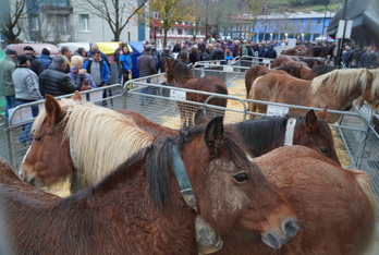 Aurten ere zaldiak izango dira Urretxu-Zumarragako Santa Lutzi azokan. 