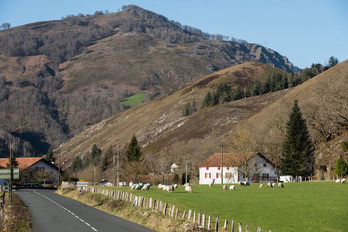 L’Observatoire pyrénéen du changement climatique est une initiative transfrontalière de coopération territoriale de la Communauté de Travail des Pyrénées (CTP), lancée en 2010 en matière du changement climatique. 