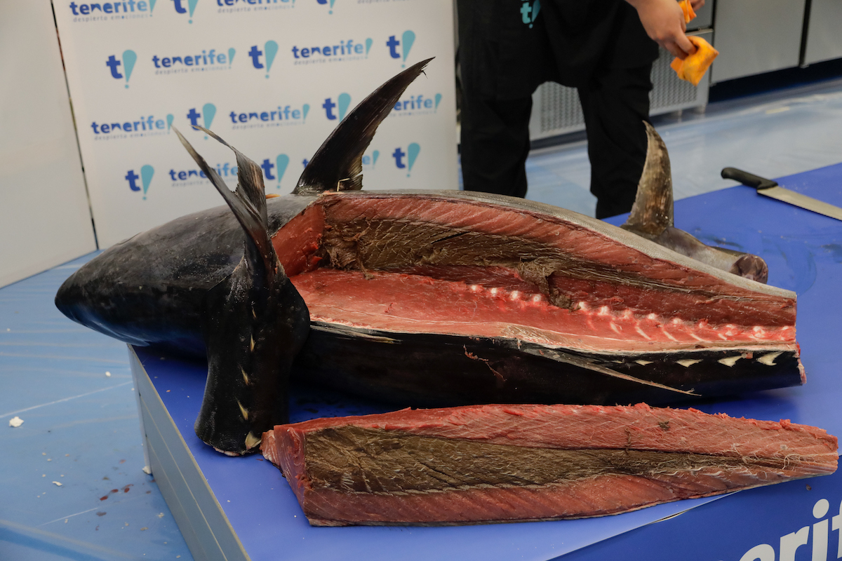 Demostración del corte o ronqueo de atún rojo de la mano del Cabildo de Tenerife. (SS GASTRONOMIKA)