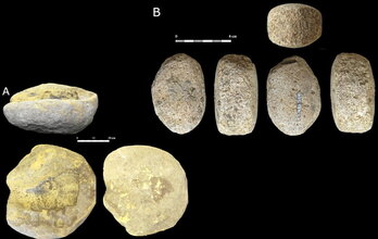 Trebiñuko Martinarriko historiaurreko aztarnategian aurkitutako tresnak.