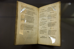 ‘Linguae Vasconum primitiae’, protagonista Baionan.