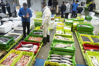 La actividad en Mercabilbao con motivo de las fechas navideñas.
