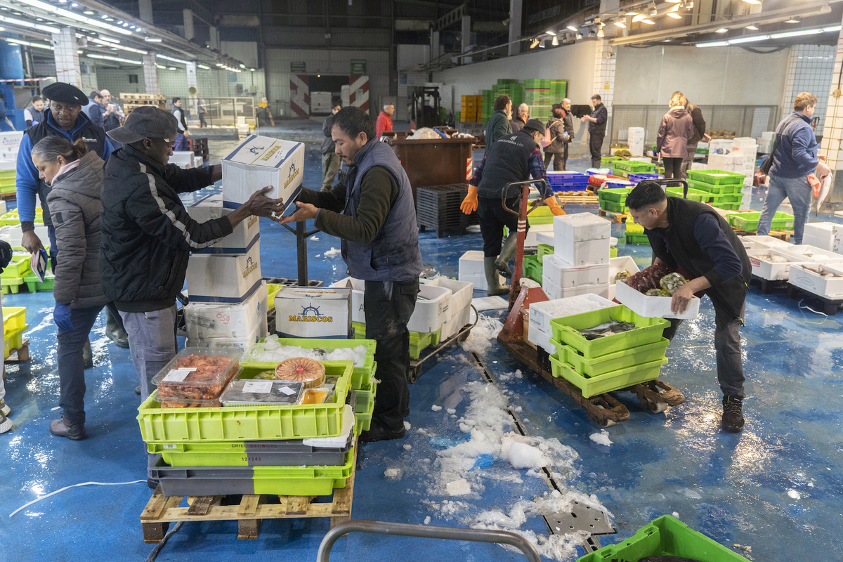 Minoristas se abastecen en Mercabilbao. (Monika DEL VALLE | FOKU)