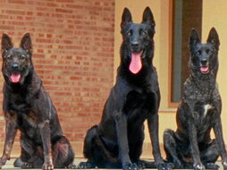 gara-2025-12-13-Noticia