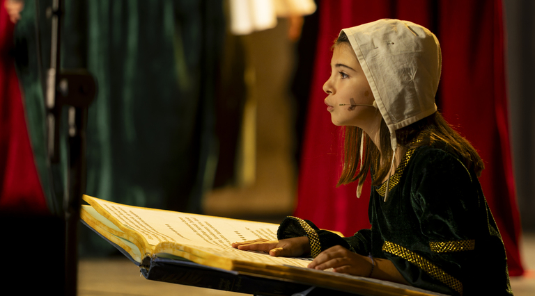 ‘Hamelingo txistularia’ musikalaren irudia. 