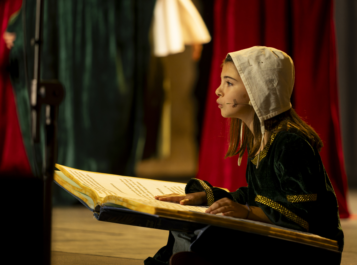 ‘Hamelingo txistularia’ musikalaren irudia. 