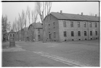 Auschwitz kontzentrazio-gunea.