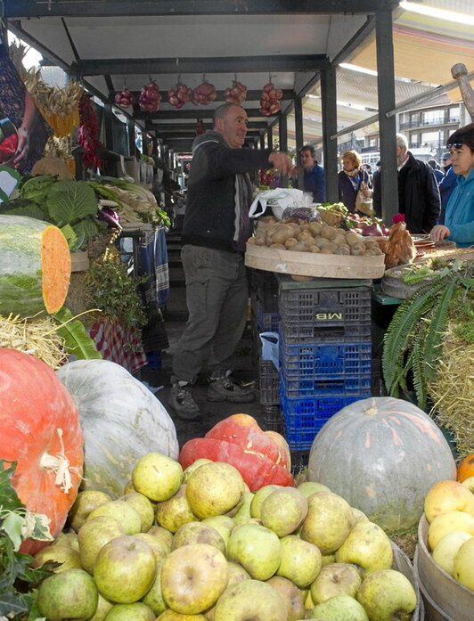 Ortuarien salmenta eta etxe-abereen erakusketa.