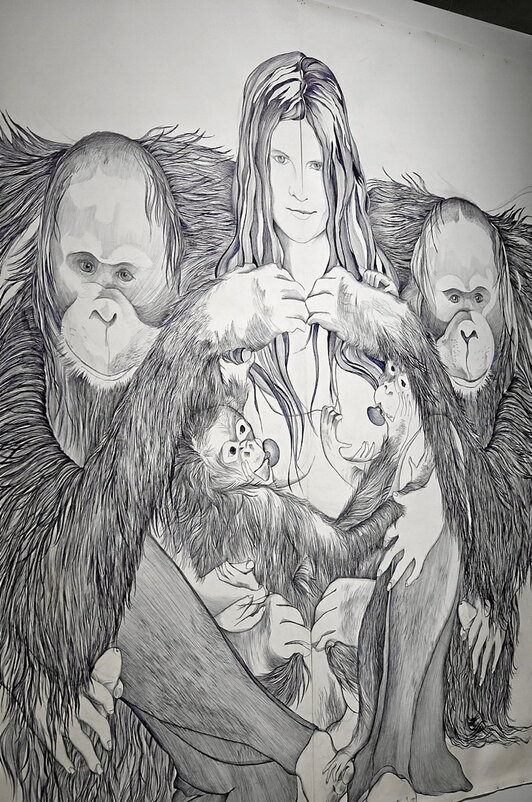 «Sasi guztien gainetik»,  la exposición de  Marlene McCarty que se puede visitar en Tabakalera, aborda las relaciones de interdependencia entre distintos seres.