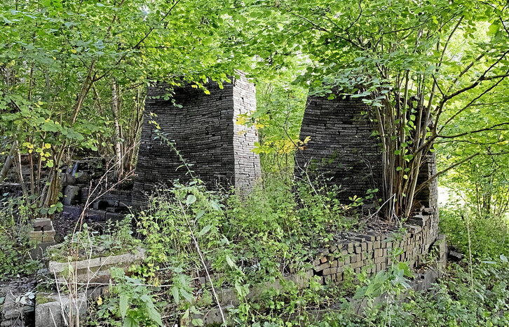 Landareek, animaliek eta pertsonek elkarrekin lan egiten jarraitzen dute Mildamen. Ekosistemaren konplexutasuna areagotzen da, intsektu, hegazti, anfibio eta beste animalia askorentzat habitat ezin hobea osatuz.