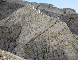 gara-2025-12-18-Noticia