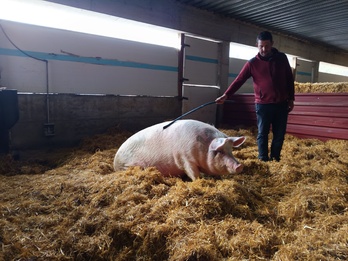 Aranzeta baserrian egin diote harrera NAIZ Irratiari Poxplinek eta Peio Bilbaok.