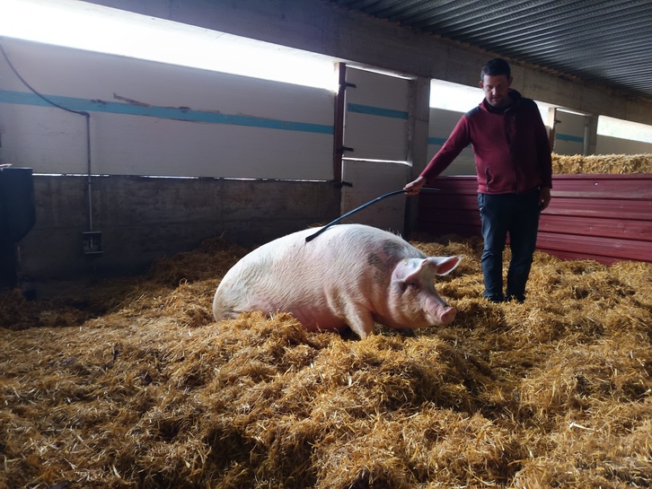 Aranzeta baserrian egin diote harrera NAIZ Irratiari Poxplinek eta Peio Bilbaok.