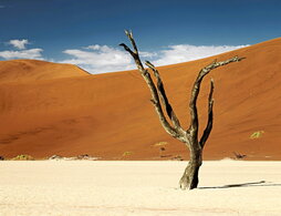 gara-2025-12-19-Noticia