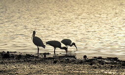 gara-2025-12-19-Reportaje