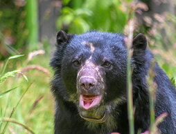 gara-2025-12-19-Noticia