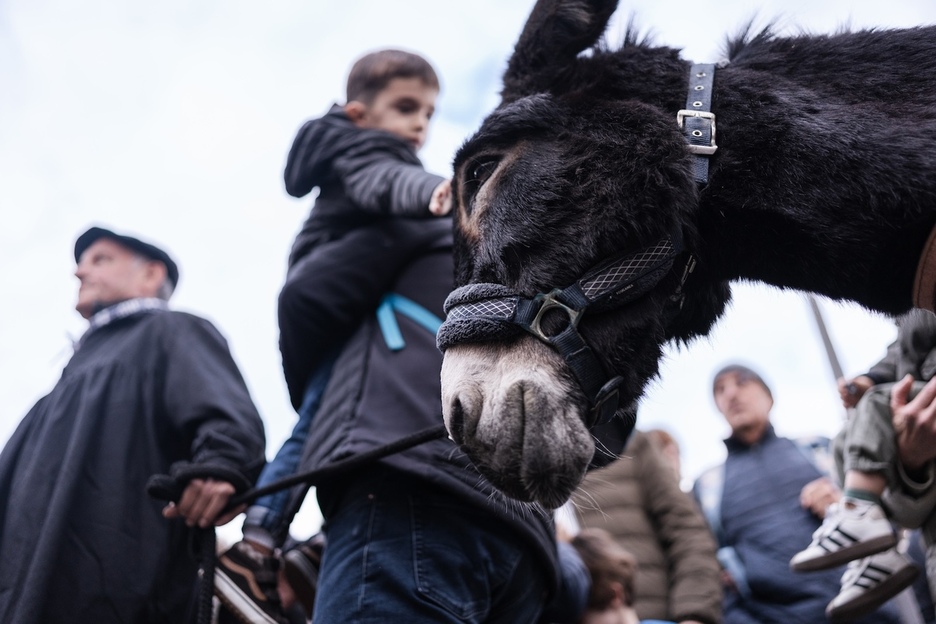 Olentzero eta Mari Domingi sont venus avec leur âne.