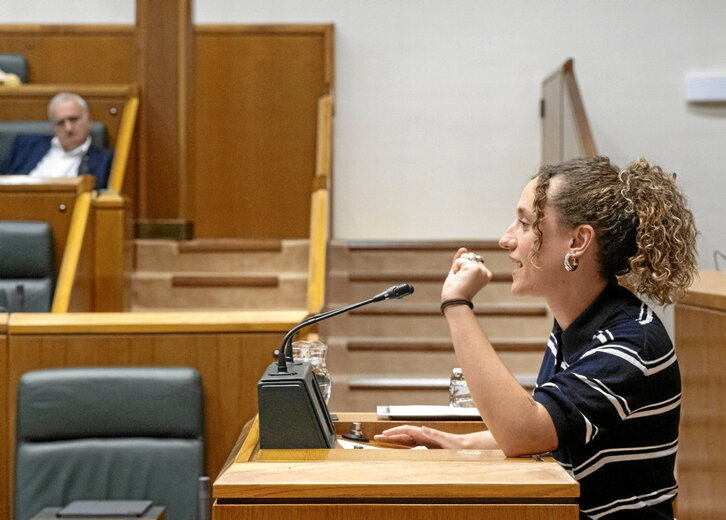 Eraitz Saez de Egilaz, durante una  intervención en el Parlamento de Gasteiz.