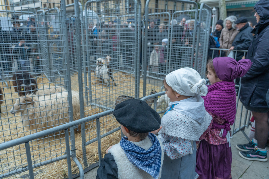 Animaliak Donostiako azokan.