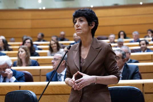 Elma Saiz, en la última sesión de control al Gobierno, el 16 de diciembre.