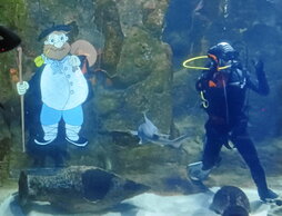 gara-2025-12-23-Noticia