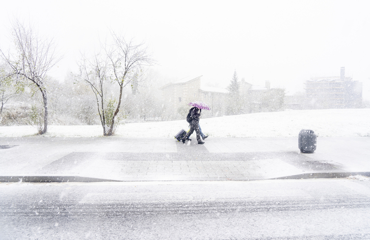 Nevada del pasado noviembre en Gasteiz.