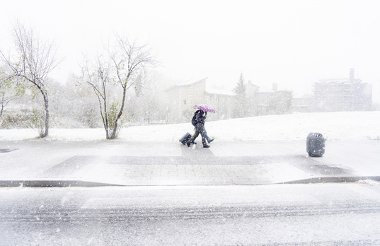 Nevada del pasado noviembre en Gasteiz.