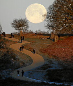 gara-2026-01-03-Noticia