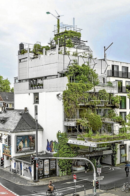 Baum etxearen irudiak eta axonometria.