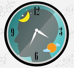 gara-2026-01-05-Noticia