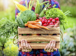 gara-2026-01-05-Noticia