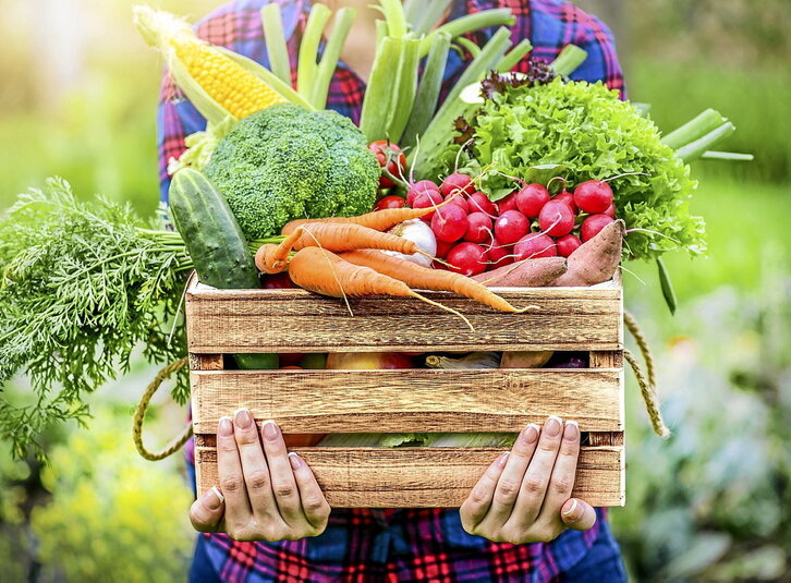 gara-2026-01-05-Noticia