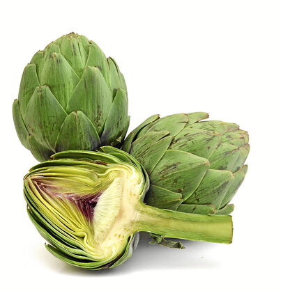 gara-2026-01-05-Noticia