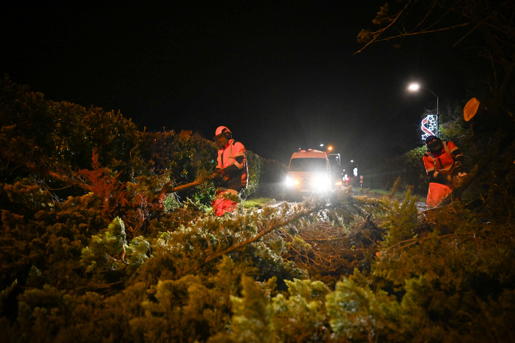 Retirando árboles caídos por Goretti esta pasada madrugada en Banvill (Normandía).